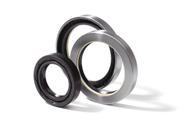 Paraoli O-Rings V-Rings